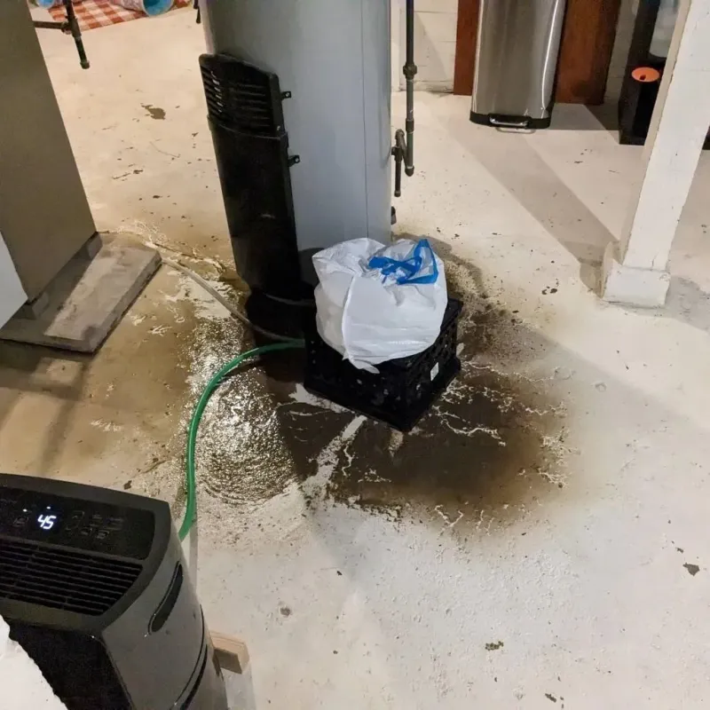 Sewage Backup Cleanup Service in Dolores County, CO